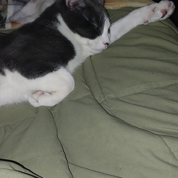 Meet your Posher, Nikki - Picture 9 of 13